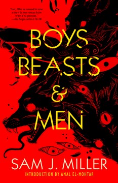 Book Jacket for Boys, Beasts & Men