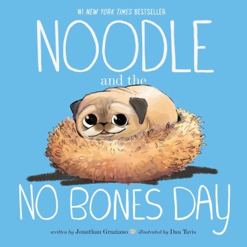 Book jacket for NOODLE AND THE NO BONES DAY