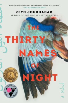 Book Jacket for The Thirty Names of Night A Novel