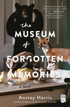 Book Jacket for The Museum of Forgotten Memories style=
