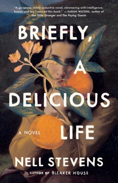 Book Jacket for Briefly, A Delicious Life A Novel