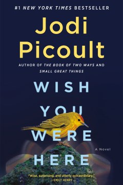 Book Jacket for Wish You Were Here A Novel style=