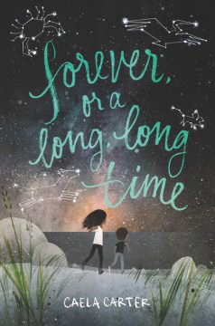 Cover of "Forever or a Long Long Time" by Caela Carter