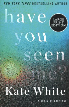 Have you seen me? : a novel of suspense
