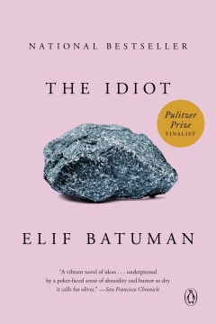 The-idiot-/-Elif-Batuman.