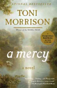 Book cover of A Mercy by Toni Morrison