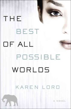 The best of all possible worlds : a novel