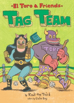 Tag Team by Raúl the Third book cover