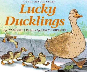 Lucky Ducklings by Eva Moore book cover