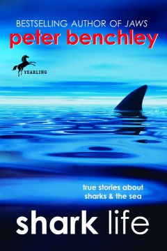 Shark life : true stories about sharks & the sea