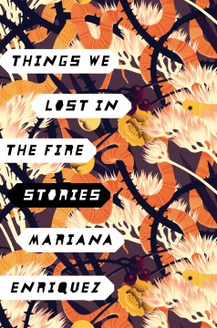 Things we lost in the fire : stories