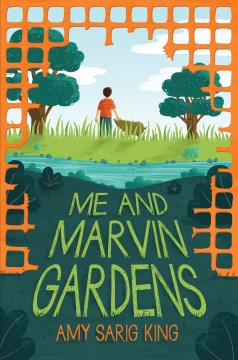 Me and Marvin Gardens
by A. S. King book cover
