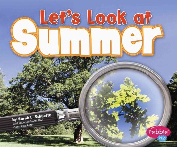 Let's Look at Summer by Sarah Schuette book cover