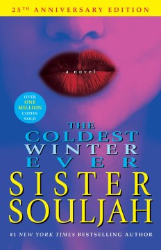 The coldest winter ever : a novel