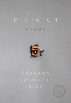 Dispatch: poem by Cameron Awkward-Rich
