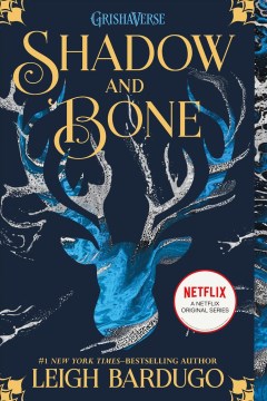 Shadow and Bone by Leigh Bardugo book cover