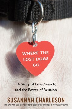 Where the lost dogs go : a story of love, search, and the power of reunion