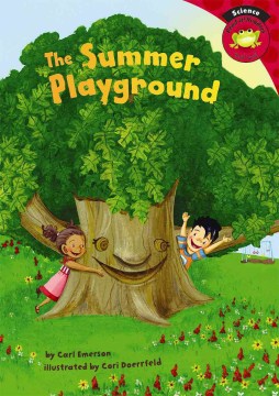 The Summer Playground by Carl Emerson book cover