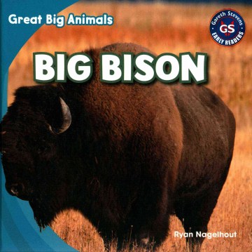 Big Bison by Ryan Nagelhout book cover