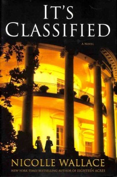 It's classified : a novel