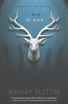 Cover of "This is Our Story"