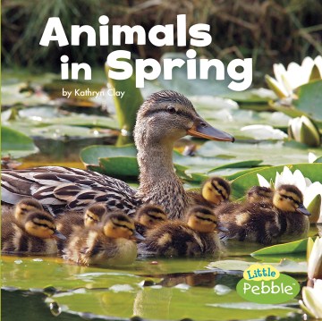 Animals in Spring by Kathryn Clay book cover