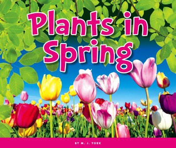 Plants in Spring by M.J. York book cover