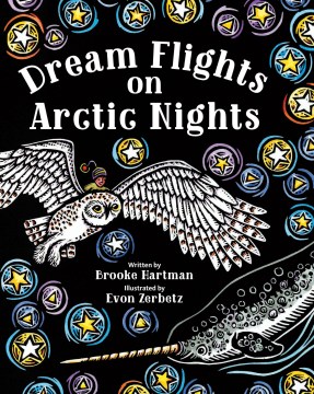 Dream Flights on Arctic Nights by Brooke Hartman Book Cover