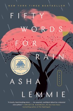 Fifty words for rain : a novel