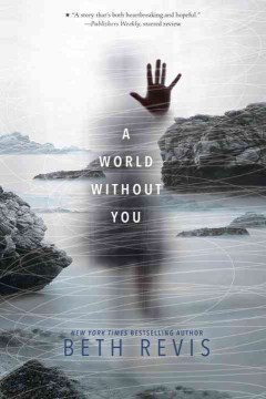 Cover of "A World Without You"