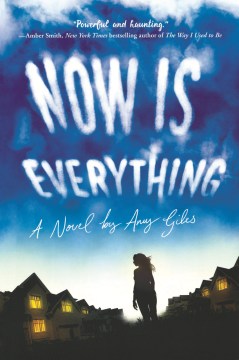 Now is Everything by Amy Giles Book Cover