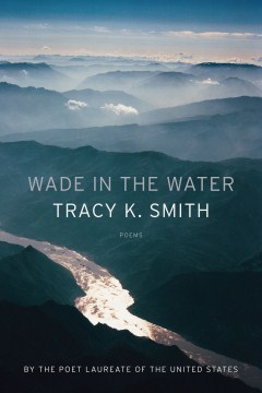 Wade in the Water : Poems