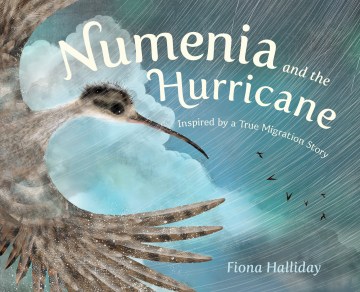 Numenia and the Hurricane by Fiona Halliday book cover