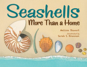 Seashells: More Than a Home by Melissa Stewart book cover