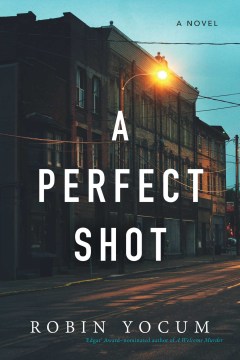 A perfect shot : a novel