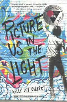 Cover of Picture Us in the Light