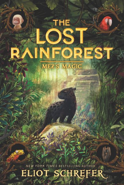 The Lost Rainforest
