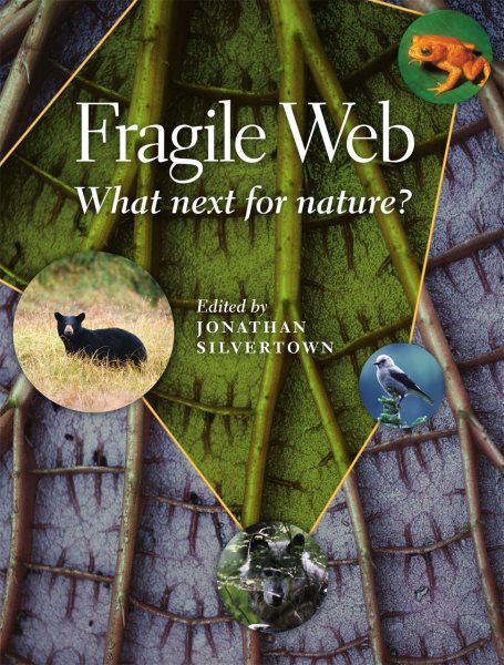 Fragile Web | 拾書所