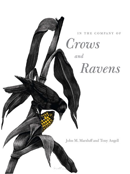 In the Company of Crows And Ravens | 拾書所