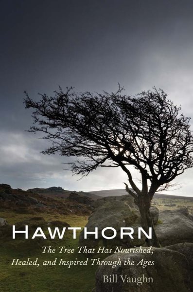 Hawthorn | 拾書所