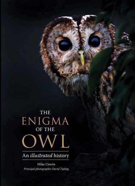 The Enigma of the Owl | 拾書所