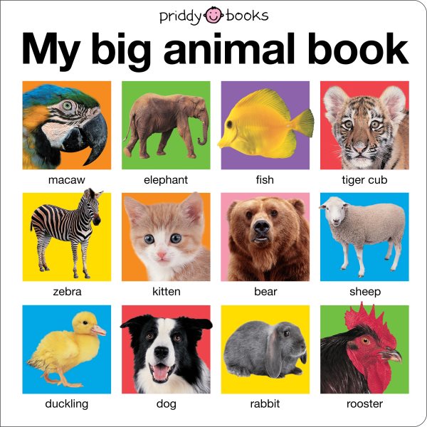My Big Animal Book | 拾書所