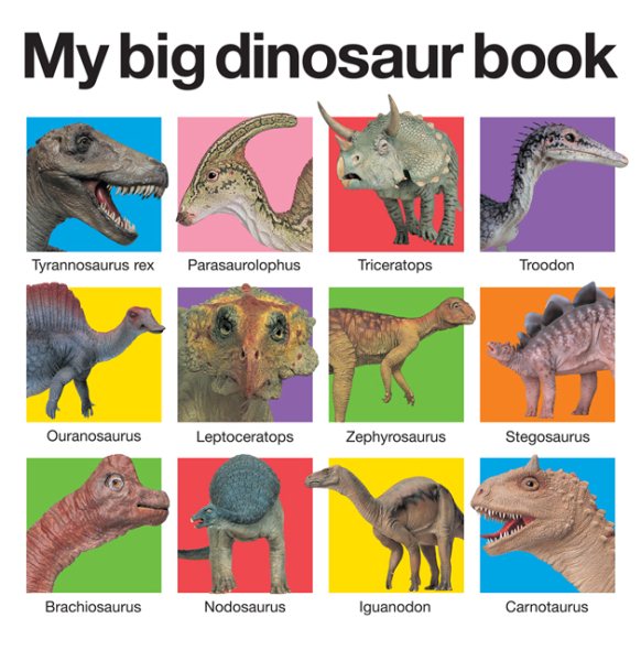 My Big Dinosaur Book | 拾書所