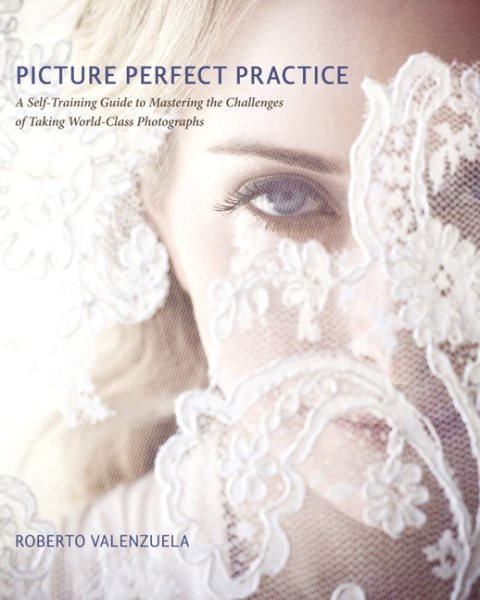 Picture Perfect Practice | 拾書所