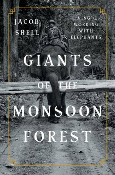Giants of the Monsoon Forest | 拾書所