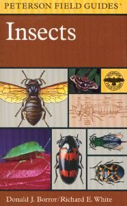 A Field Guide to Insects