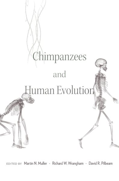 Chimpanzees and Human Evolution | 拾書所