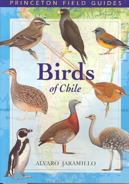 Birds of Chile | 拾書所