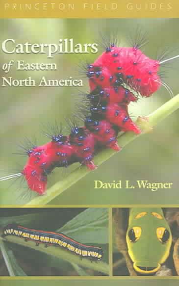Caterpillars Of Eastern North America