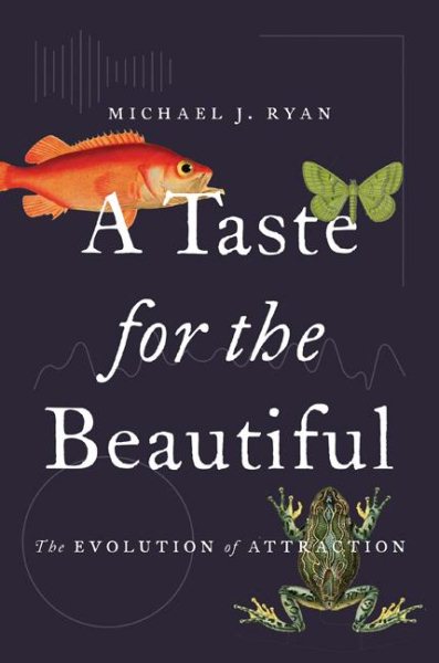 A Taste for the Beautiful | 拾書所